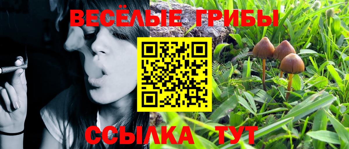 Чехов  Псилоцибиновые грибы Magic Shrooms  Вход с VPN 